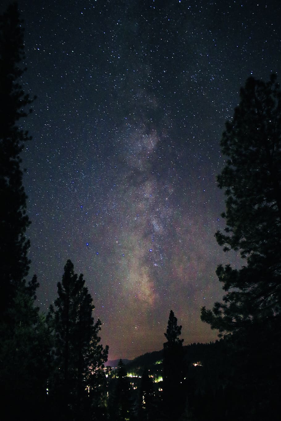 Silhouette Of Trees At Nighttime, astronomy, backlit, cosmos HD wallpaper
