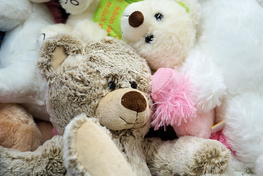 Assorted-color Bear Plush Toys, adorable, bears, child, cuddly HD wallpaper
