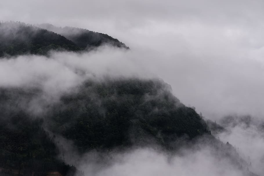 mountain, guizhou, cloud, high, black and white, forest, fog HD wallpaper