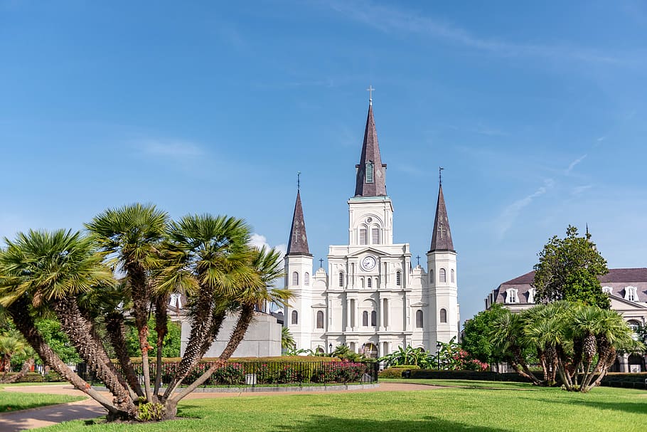 tower, architecture, spire, steeple, building, grass, plant HD wallpaper