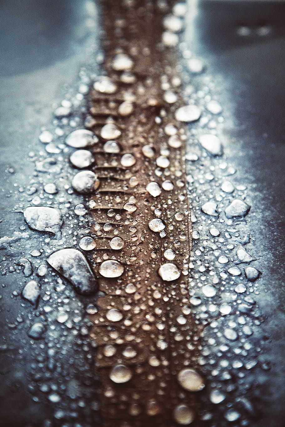 close-up, selective focus, no people, wet, indoors, drop, water HD wallpaper