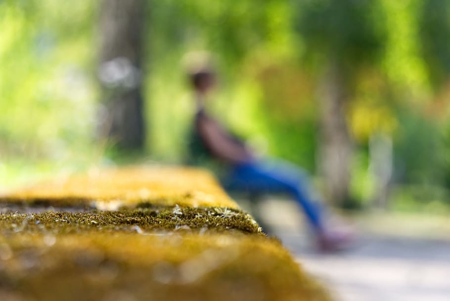 moss, stones, wall, close up, person, woman, background, blurry HD wallpaper