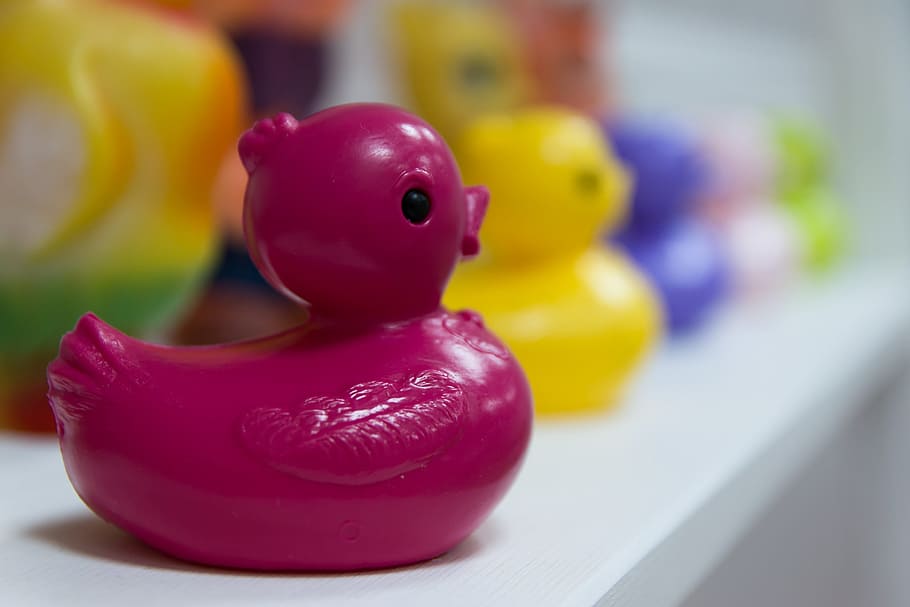 duck, figure, object, plastic, toy, close-up, indoors, focus on foreground HD wallpaper