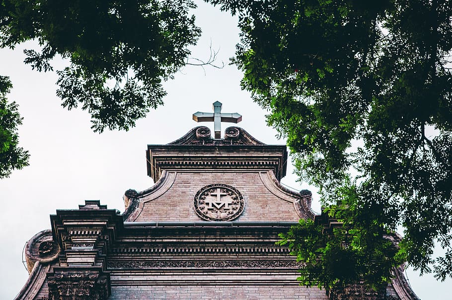 Cathedral Surrounded by Trees, architecture, building, cross HD wallpaper