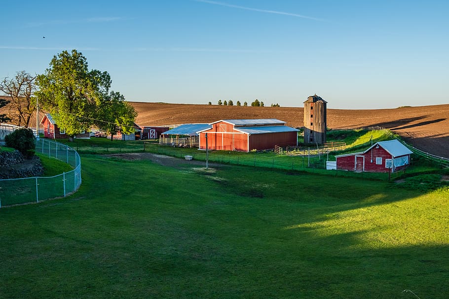 barn on green field, built structure, architecture, plant, sky HD wallpaper