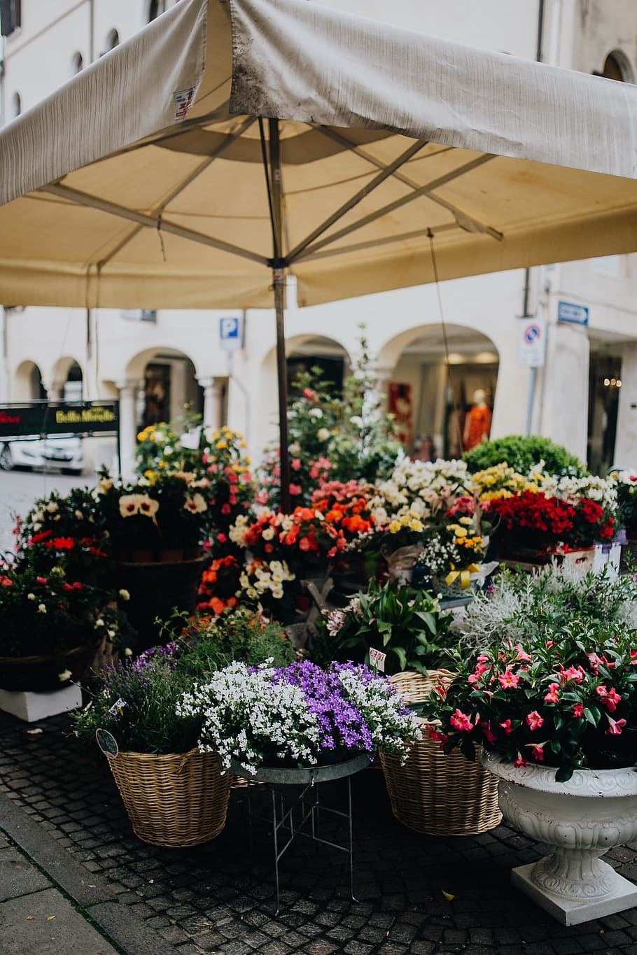 HD wallpaper: Flower shop in Castelfranco Veneto, Italy, flowers