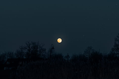full moon over silhouette trees, nature, outdoors, night, outer space HD wallpaper