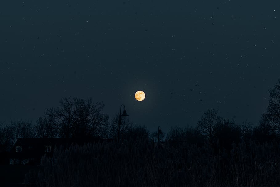 full moon over silhouette trees, nature, outdoors, night, outer space HD wallpaper