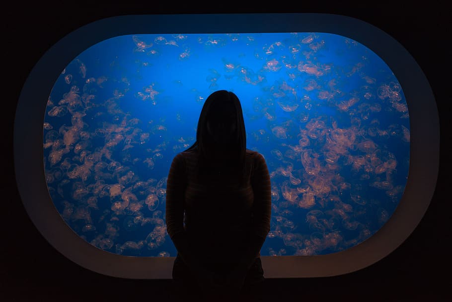 people, alone, silhouette, dark, aquarium, blue, water, fish HD wallpaper