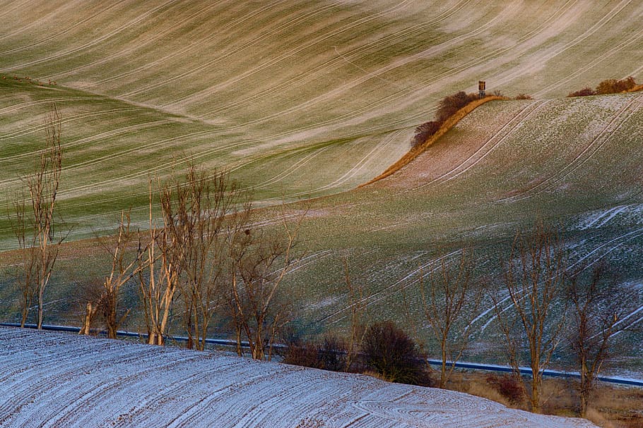landscape, winter, trees, environment, plant, no people, nature HD wallpaper