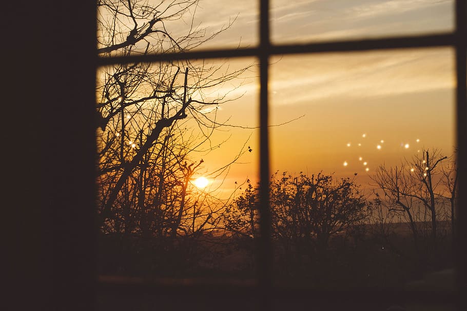 united states, tree, branch, window, look, view, sunset, clouds HD wallpaper