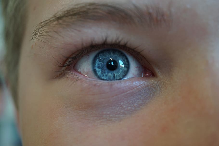 detail, eye, human eye, eyesight, sensory perception, human body part HD wallpaper