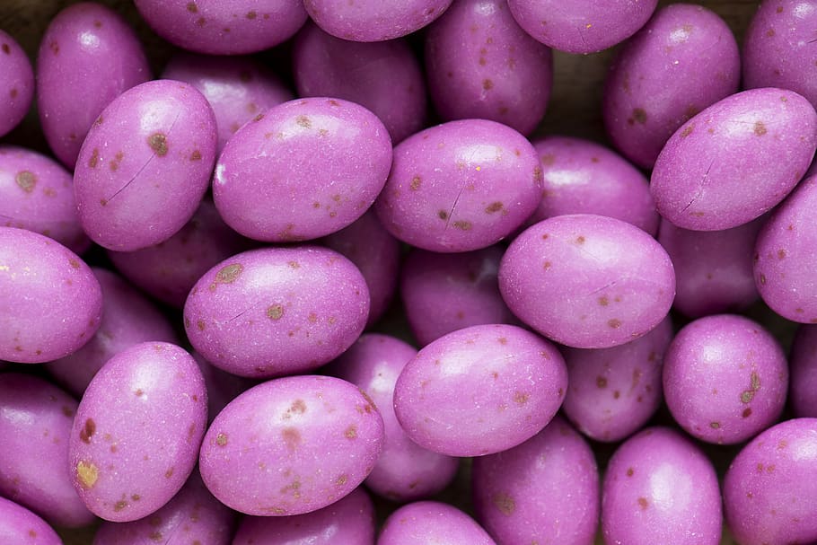 Close-Up Photography of Purple Eggs, 4k wallpaper, eggshells HD wallpaper
