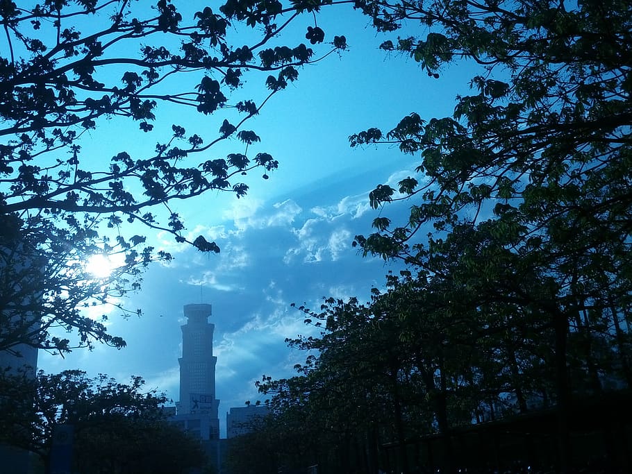 tree, building exterior, plant, sky, nature, built structure HD wallpaper