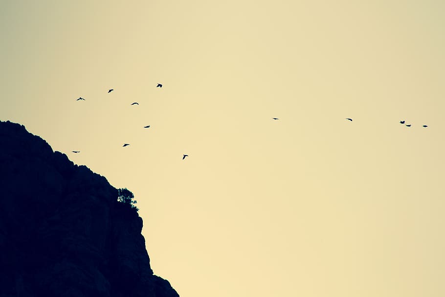 greece, kos, shadow, sunset, contrast, cliff, flight, tree HD wallpaper