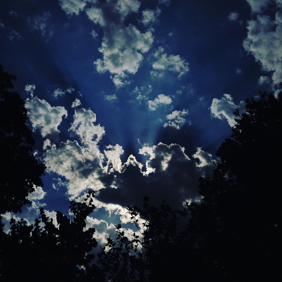 moonlight, moon night, sky, cloud, cloud - sky, beauty in nature HD wallpaper