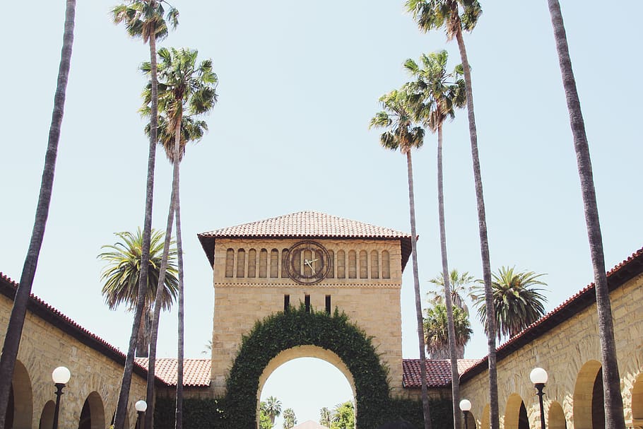 united states, stanford, stanford university, palm tree, architecture