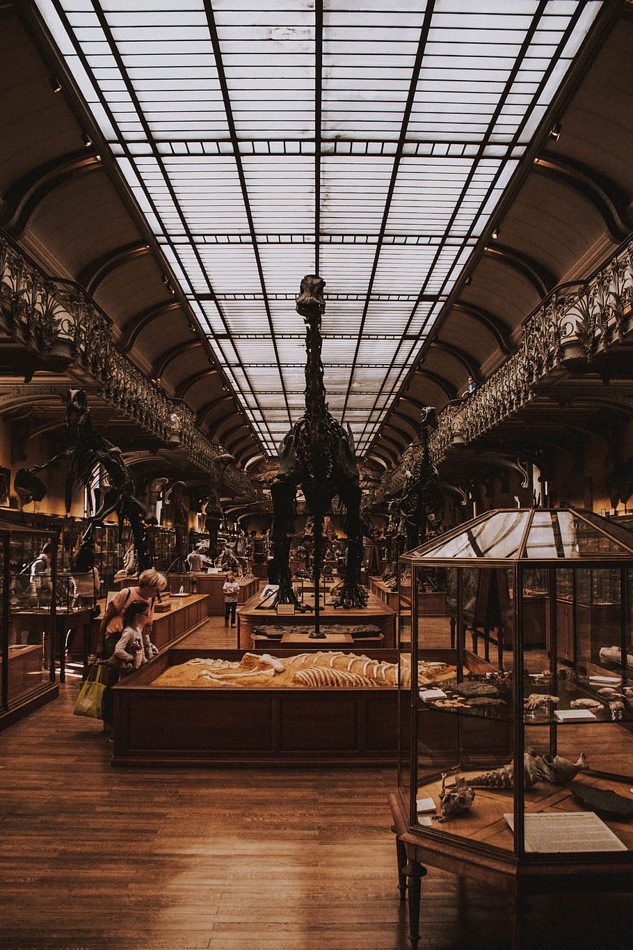 giraffe statute between shelves, indoors, ceiling, architecture HD wallpaper