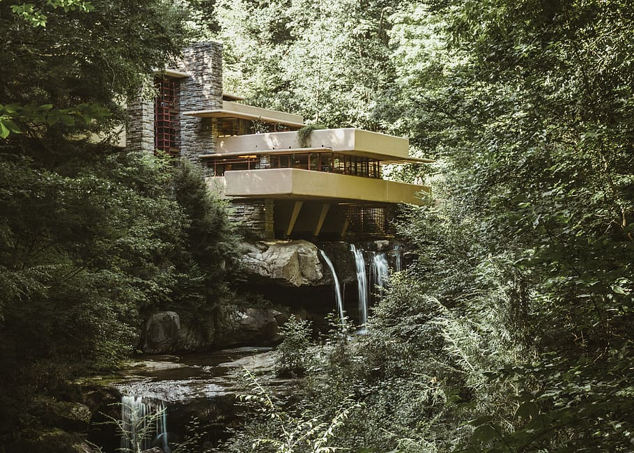 house surrounded by forest, tree, plant, built structure, architecture HD wallpaper