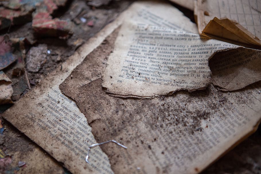 leaf, plant, text, soil, book, chernobyl, old, paper, ground HD wallpaper