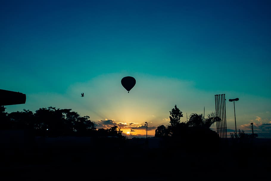 nature, landscape, parks, trees, hot, air, balloon, dusk, dawn HD wallpaper