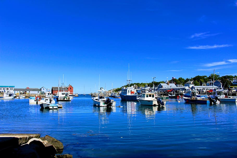 boats, harbour, harbor, ocean, water, united states, nautical vessel HD wallpaper