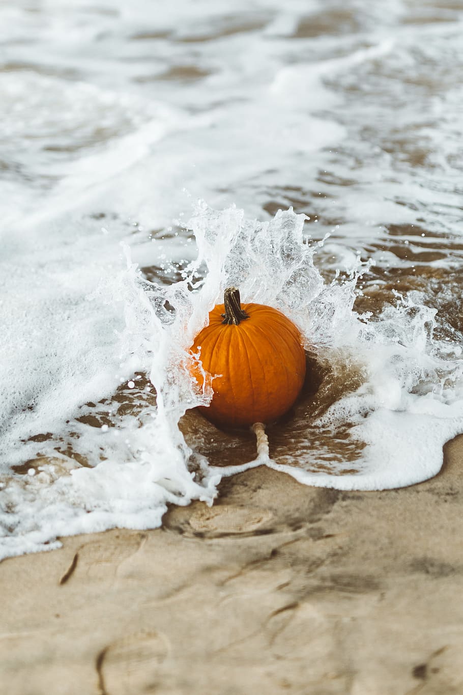 Rustic Pumpkins