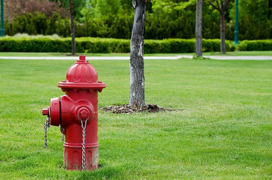 park, fire hydrant, plant, grass, red, nature, tree, green color HD wallpaper