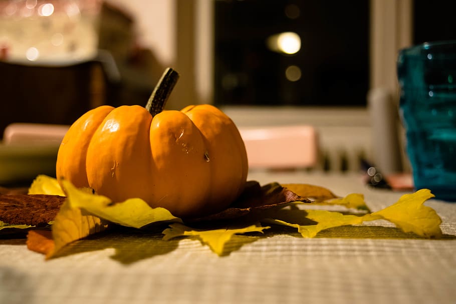 france, nevers, pumpkin, table, decoration, food, food and drink HD wallpaper