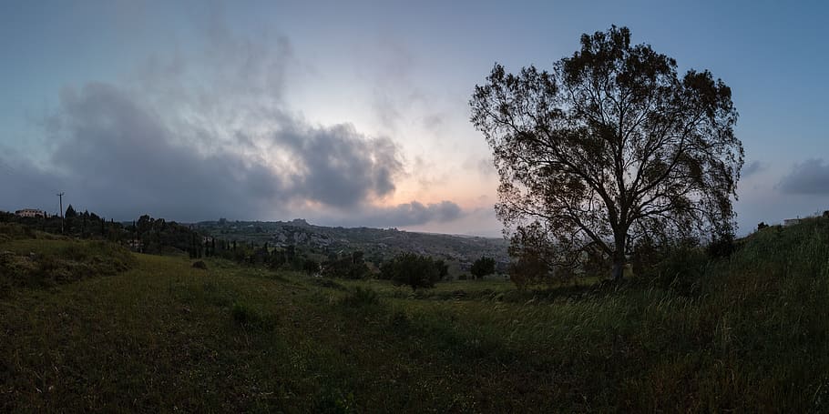 cyprus, evening, sky, sunset, landscape, tree, plant, tranquil scene HD wallpaper