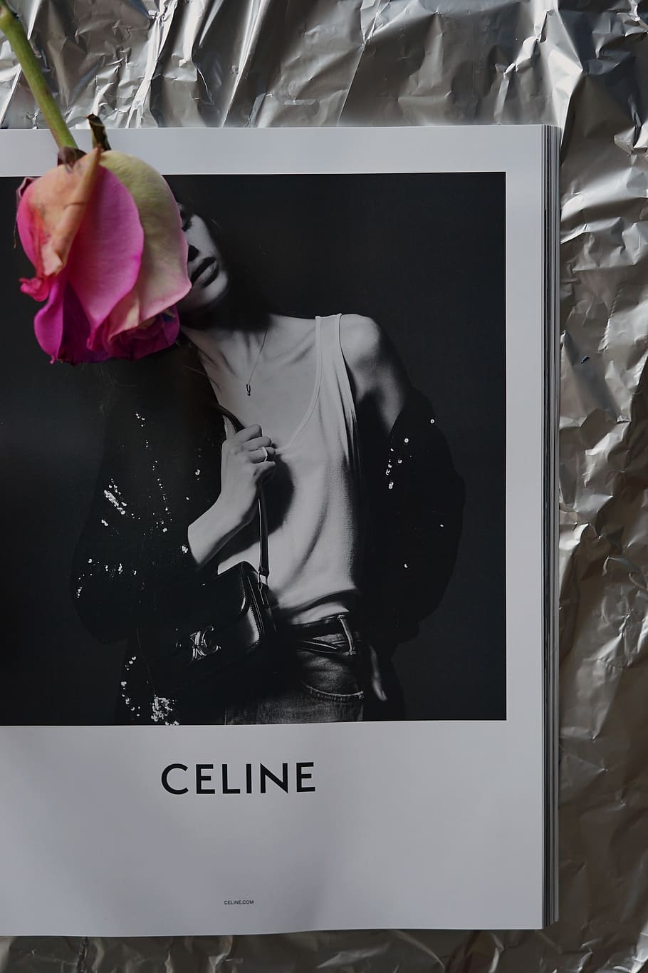 Hd Wallpaper Celine Album Apparel Clothing Human Person Plant Blossom Wallpaper Flare