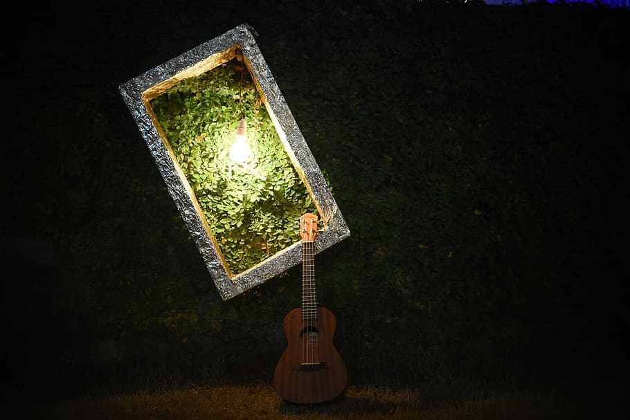 Brown Ukulele, art, background, dark, design, guitar, indoors HD wallpaper