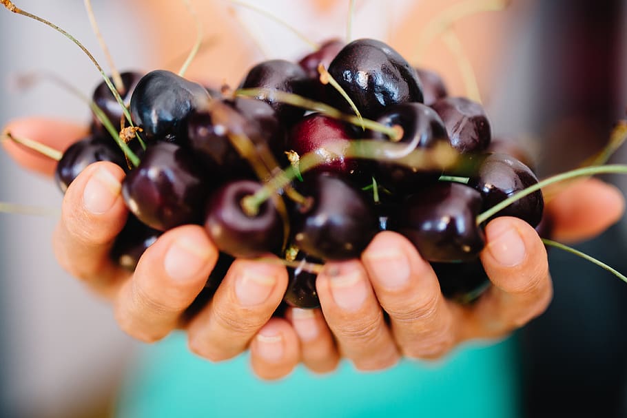 cherry, cherries, fruits, hands, food, healthy, human hand HD wallpaper