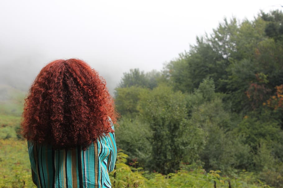 gril, fog, forest, alone, green, tree, plant, rear view, one person HD wallpaper