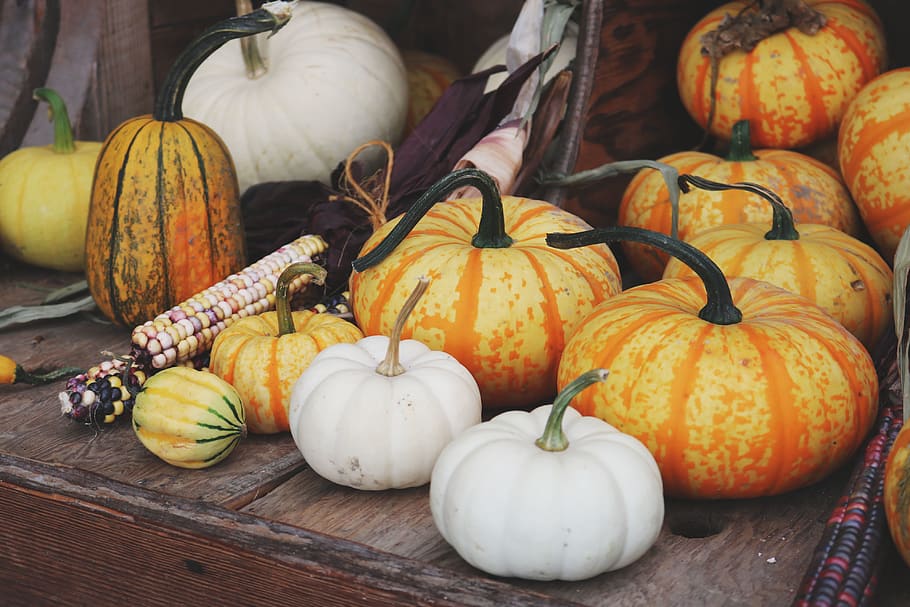 White and Orange Pumpkins on Brown Wooden Table, close-up, colors HD wallpaper