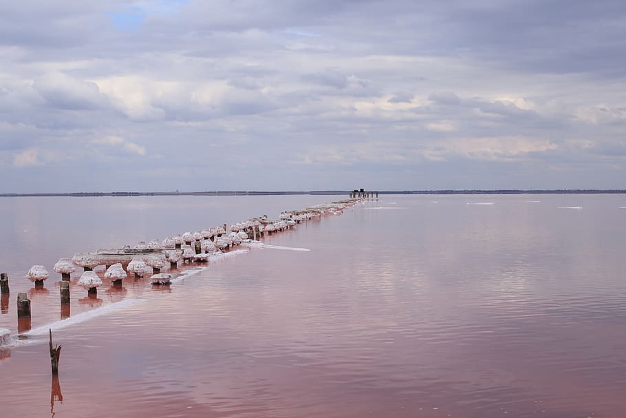 lake, horizon, sky, reflection, salt, sasyk, siwash, water HD wallpaper