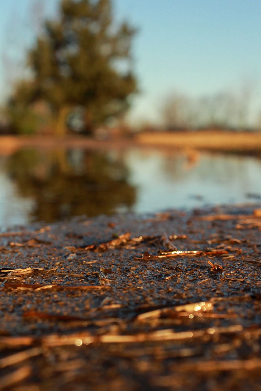 rust, water, plant, reflection, bokeh, leaf, banister, handrail HD wallpaper
