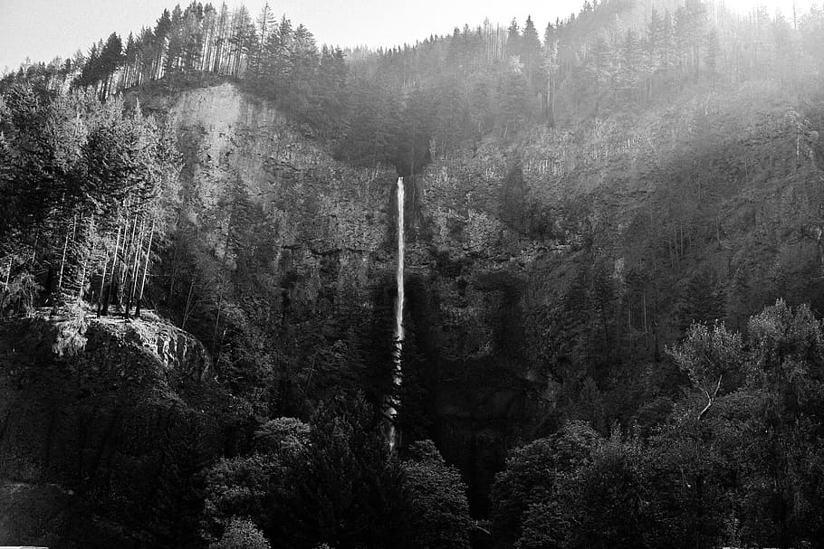 grayscale photography of forest, mountain, waterfall, black and white