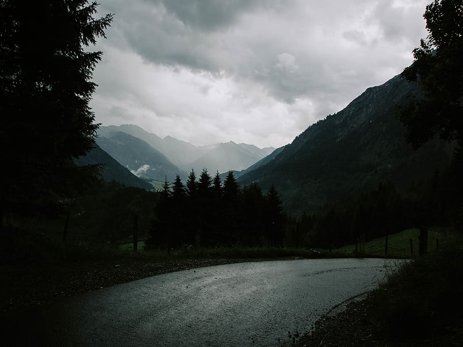 forest, nature, trees, mountain, cloud - sky, plant, mountain range HD wallpaper