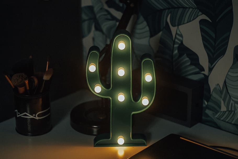 black cactus marquee lamp, light, brazil, foz do iguaçu, iphone HD wallpaper