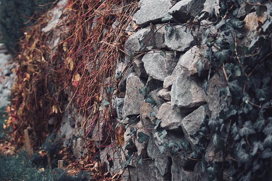Shallow Focus Photography of Rocks, close-up, color, rough, stone HD wallpaper