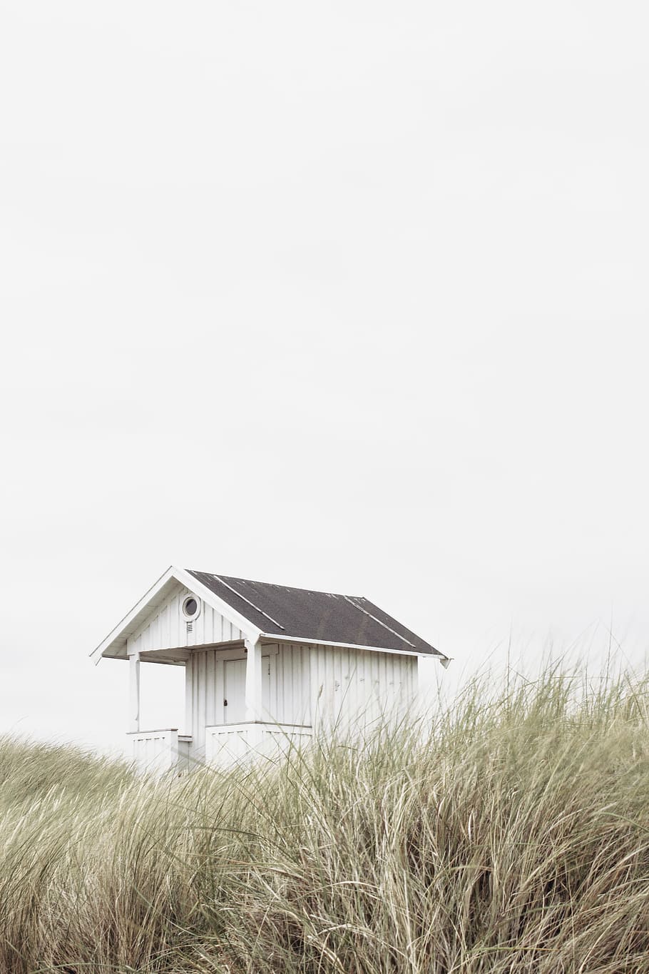 white and black wooden shed in the middle of brown grass under white sky HD wallpaper