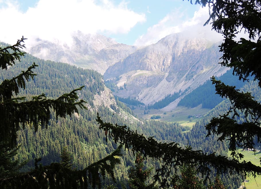 france, modane, montain, forest, trees, cloud, vallée, sky HD wallpaper