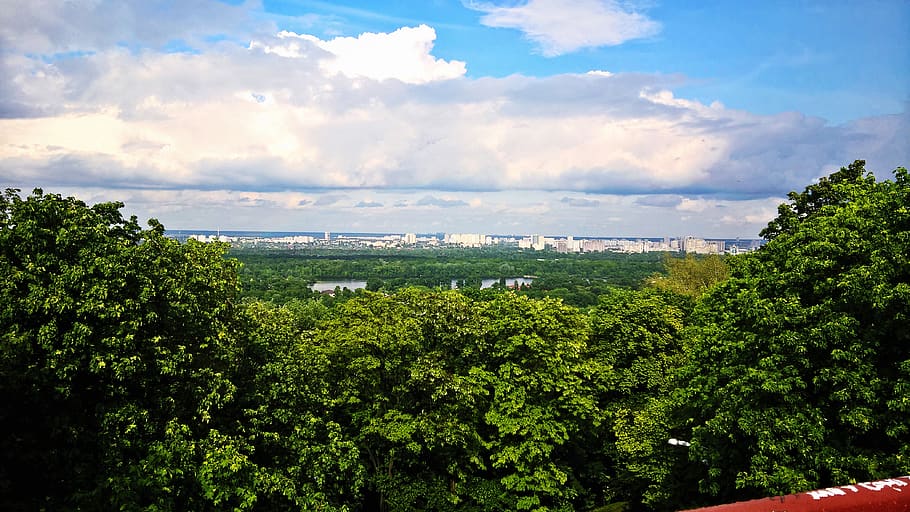 ukraine, kyiv, plant, tree, cloud - sky, growth, green color HD wallpaper