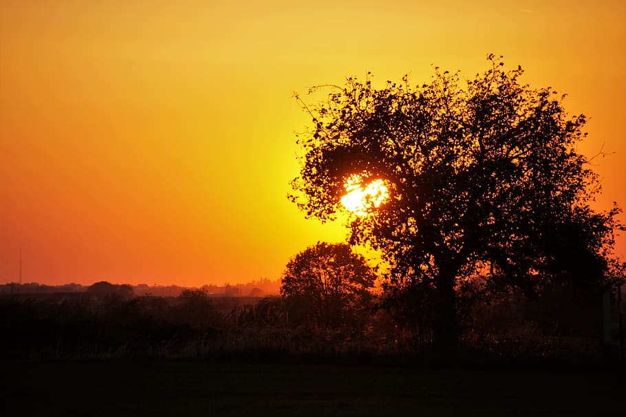 sunset, trees, silhouette, evening, scenery, mood, orange, heaven HD wallpaper