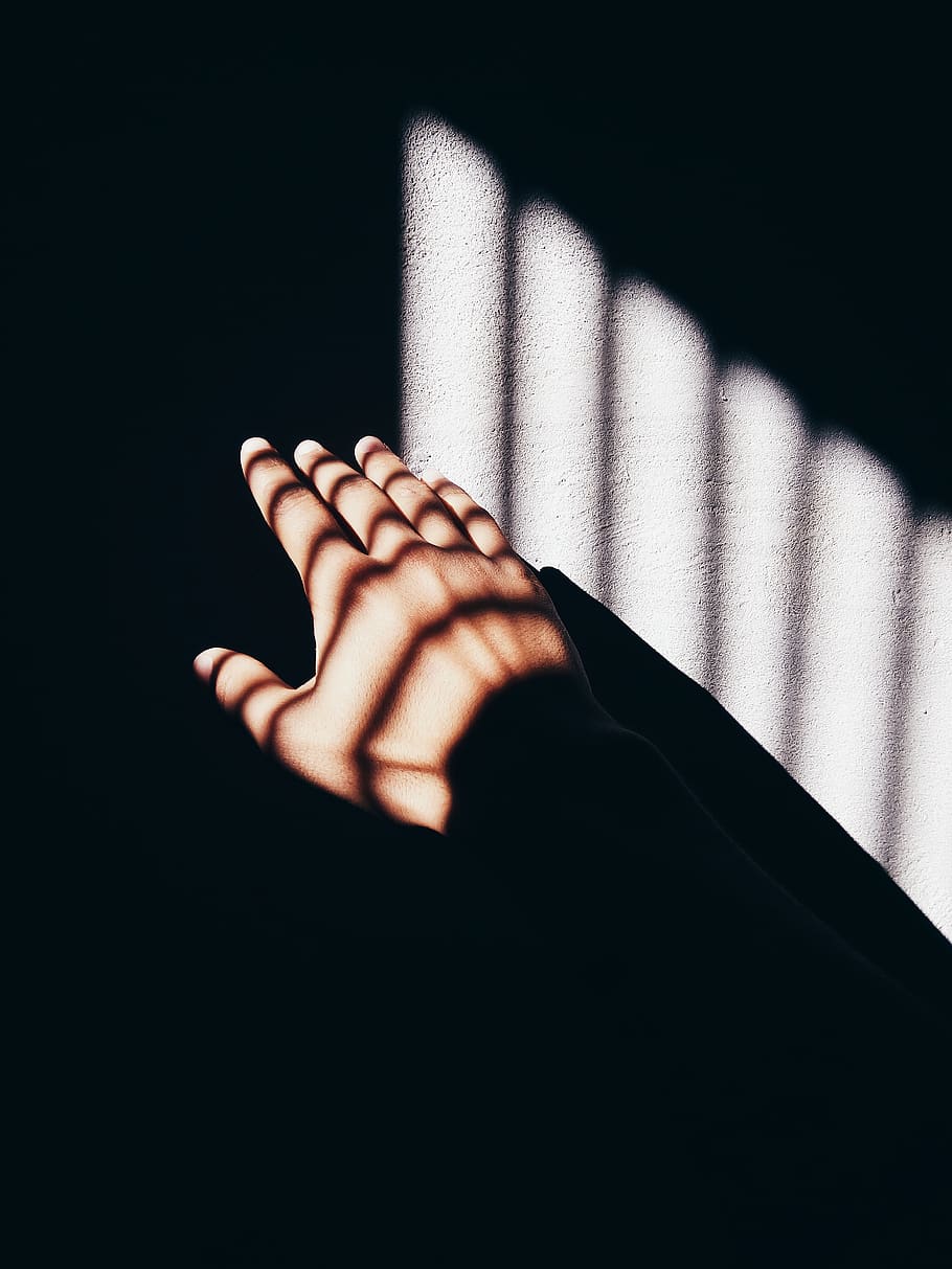 hand, sunlight, photography, human body part, one person, real people HD wallpaper