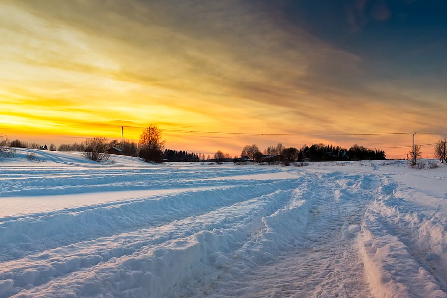 snows and trees under yellow sky, nature, outdoors, matkaniva HD wallpaper