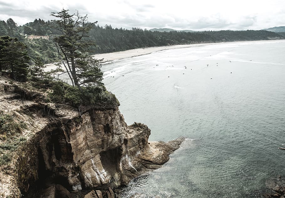 sea, ocean, water, waves, nature, rock, hill, ridge, tree, plant HD wallpaper