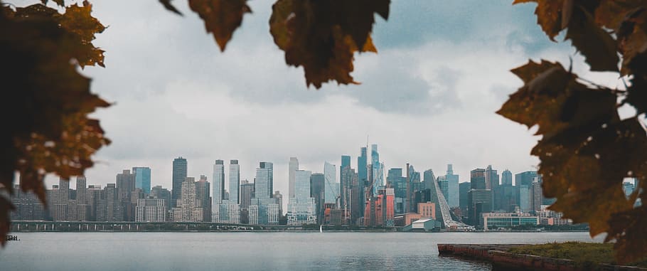 panorama, skyline, leafs, nature, city, new york, water, architecture HD wallpaper
