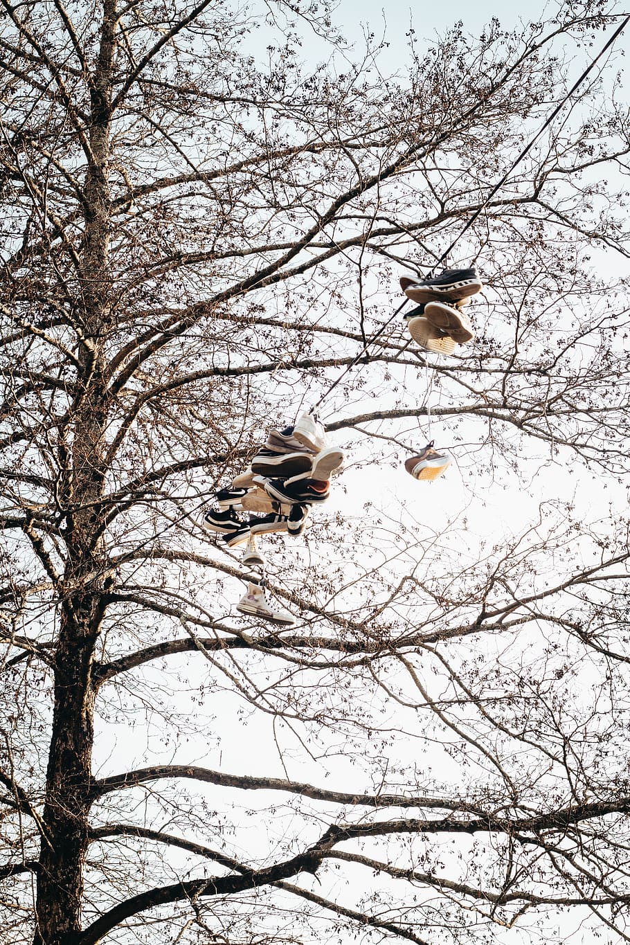 Pair of Sneakers Hanging Outdoor, daylight, environment, landscape HD wallpaper
